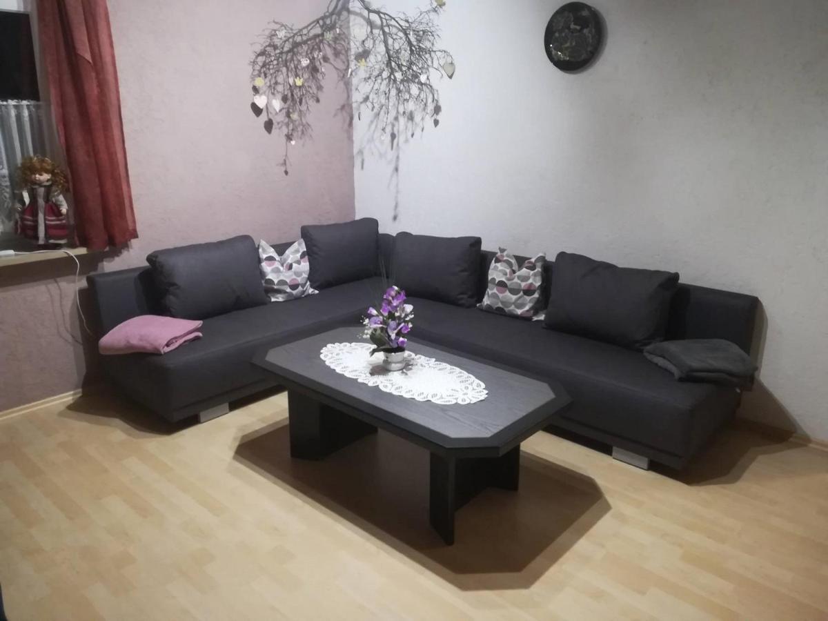 Ferienwohnung Preuss Martinlamitz Zewnętrze zdjęcie